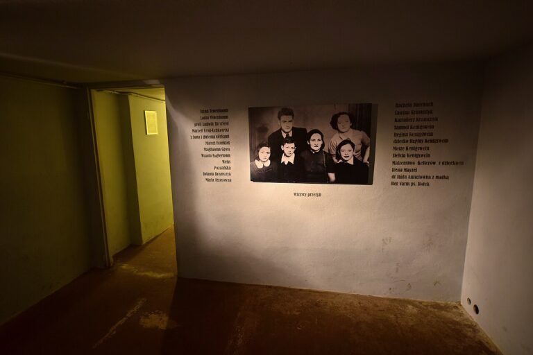 Willa_Pod_Zwariowaną_Gwiazdą_2018l