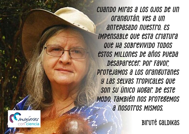 Protejamos a los orangutanes