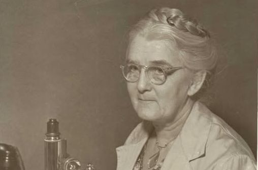 Jean Broadhurst, la bacterióloga que impidió al virus del sarampión seguir jugando al escondite