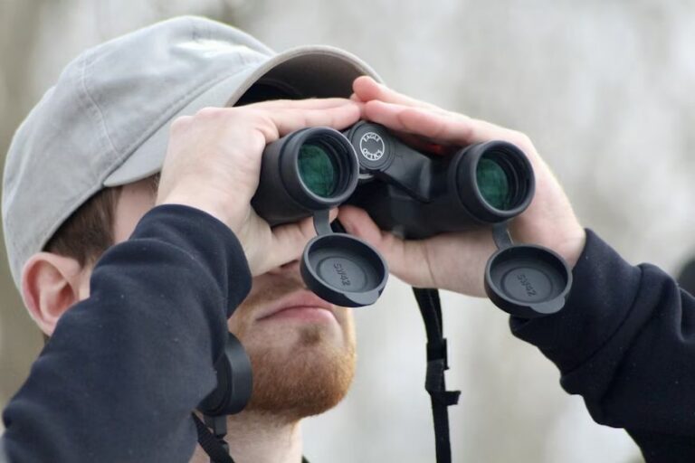 Evolución de la visión humana: ver menos para entender más