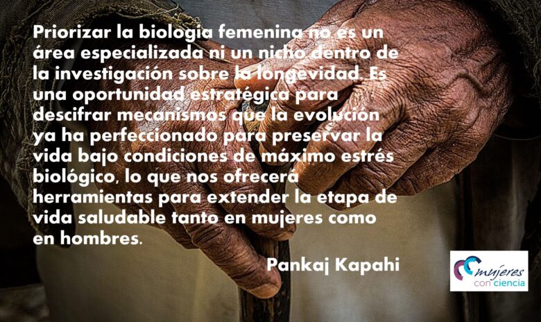 Longevidad