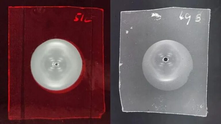 En la fotografía 49, Rosalind Franklin vio una estructura helicoidal