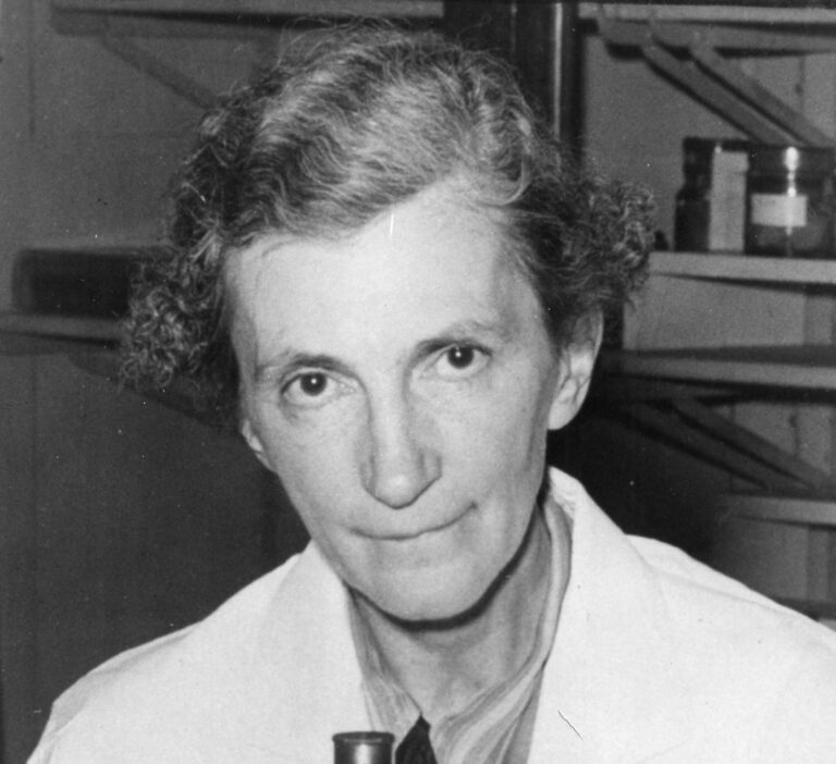 Elizabeth C. Crosby, neuroanatomista