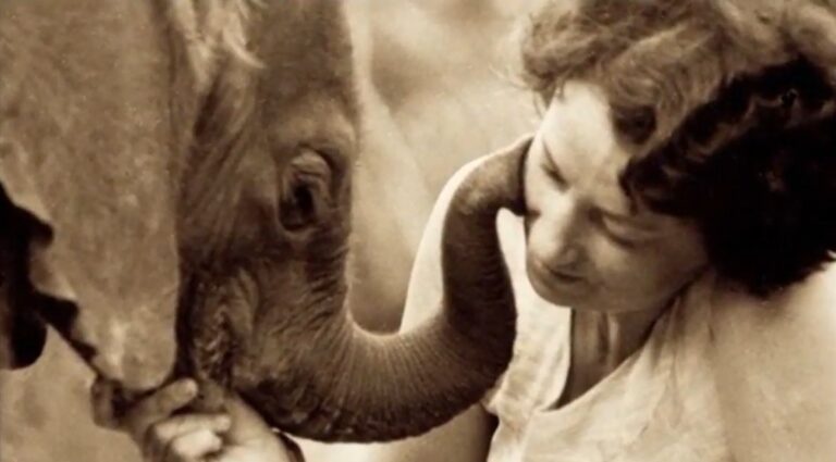 Daphne Sheldrick, la mujer que aprendió a criar elefantes huérfanos