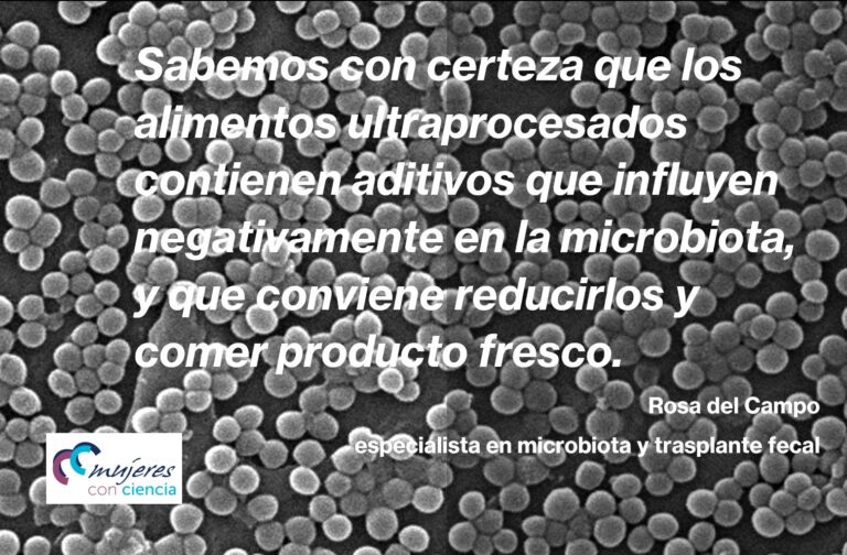 Alimentos ultraprocesados y microbiota